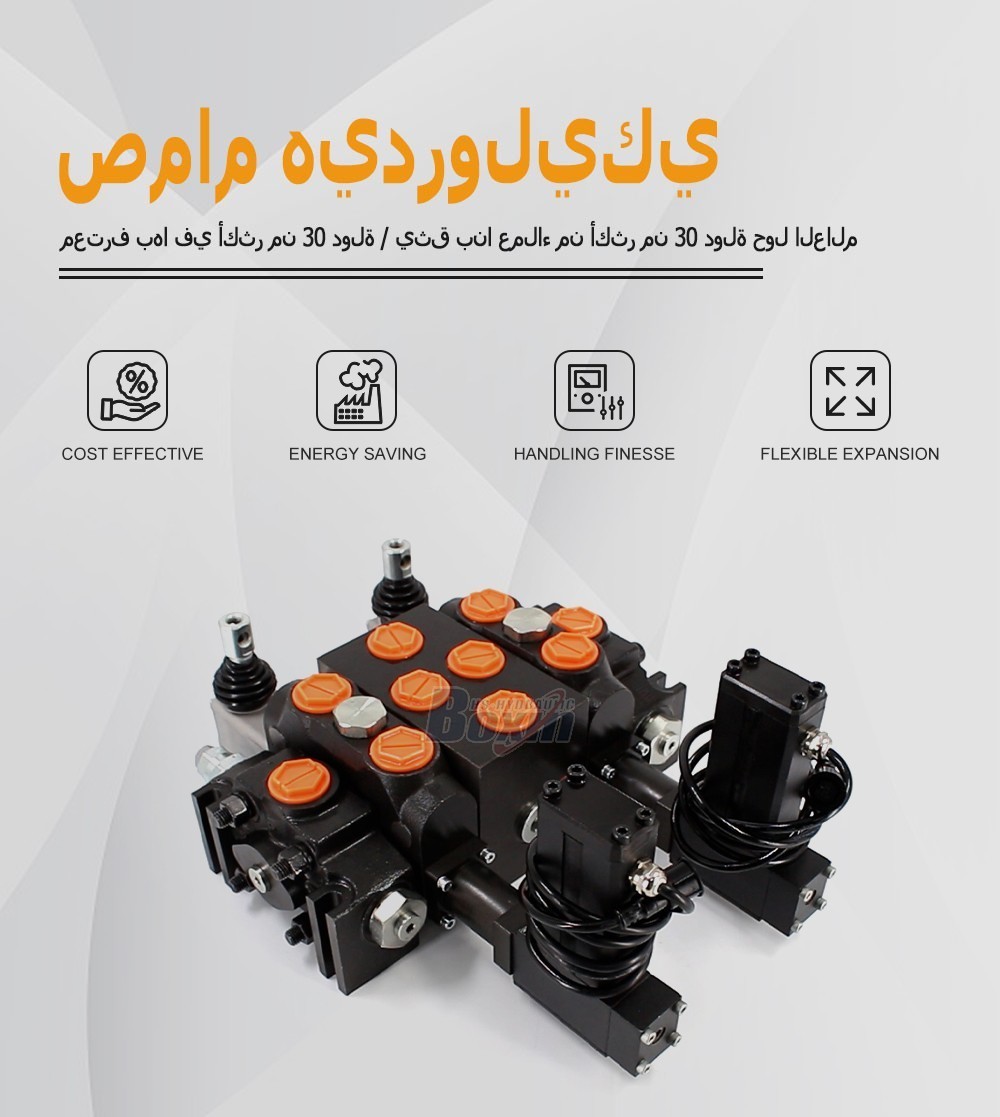 Industrial DCV200 2 Spool Sectional Directional Valve for Mobile Machinery